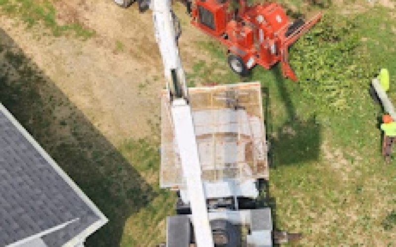 Connecticut Tree Service