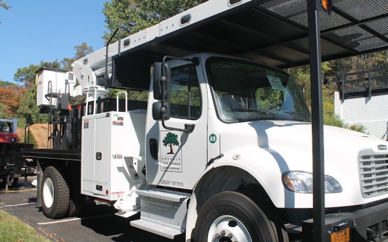 Emerald Tree & Shrub Care Company