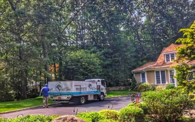 North Eastern Tree , Shrub and Lawn care