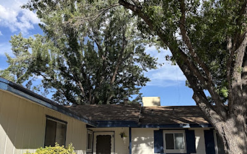 Western Arborists — Tree service in Sun Valley
