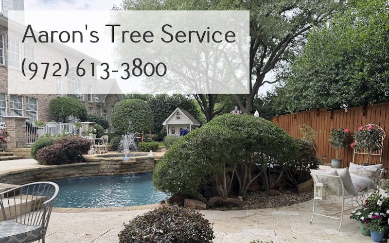 Aaron's Tree Service