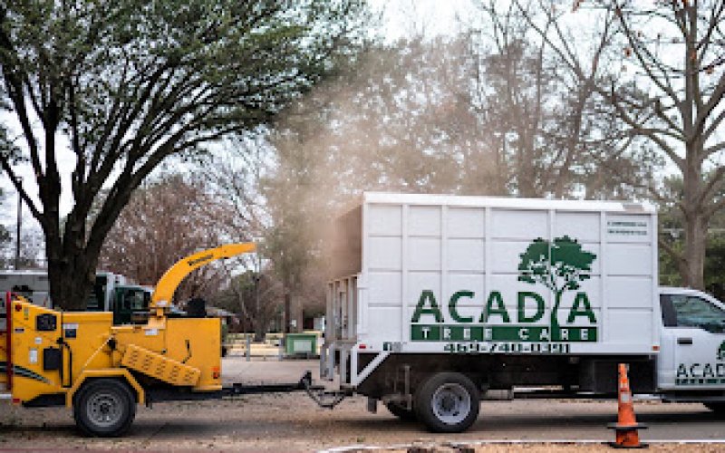 Acadia Tree Care
