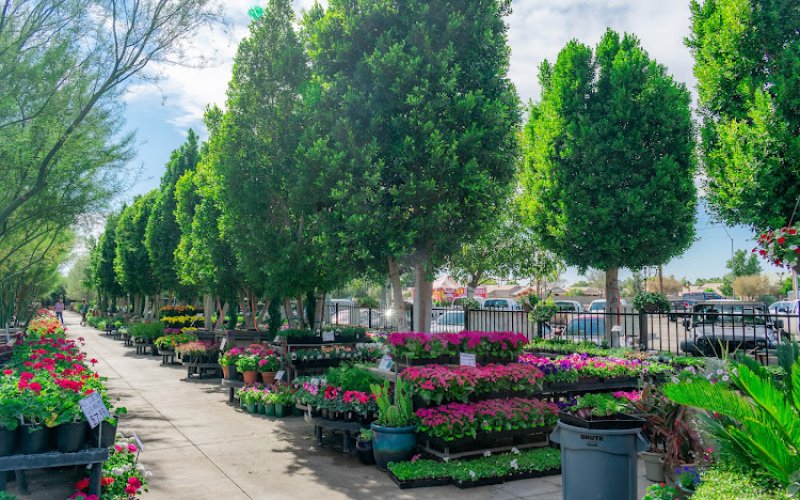 Moon Valley Nurseries