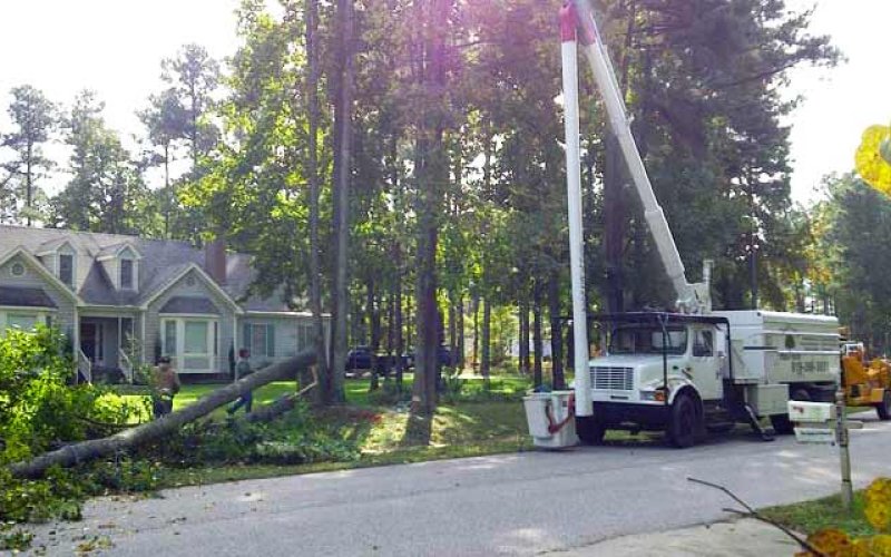 Tree Service Syracuse — Tree service in Syracuse