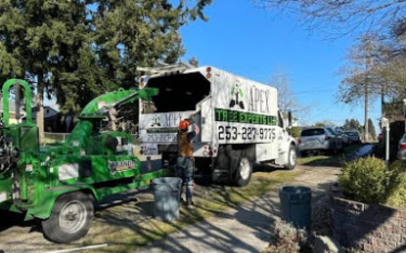 Apex Tree Experts - Tacoma