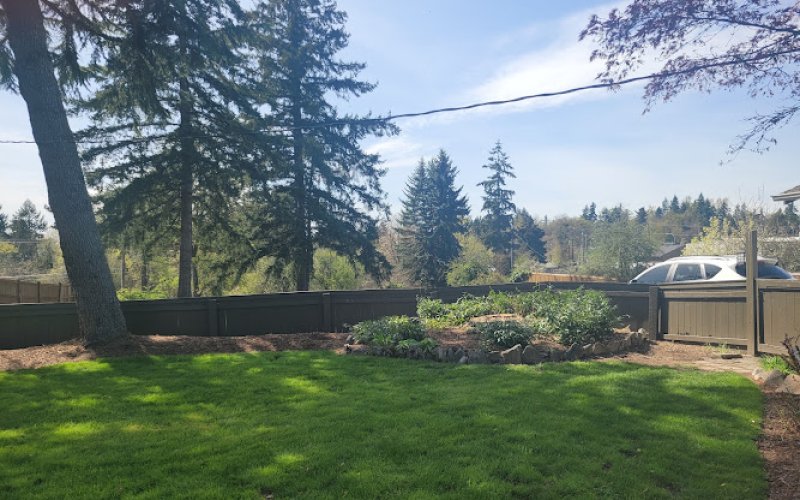 Canzler Tree Service