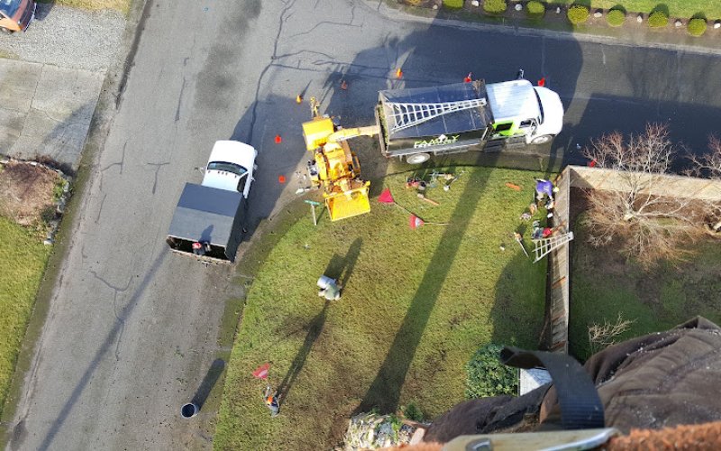 Family Tree Care - Tree Services by Certified Arborists
