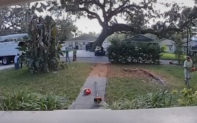 Hurricane Tree Specialists — Tree service in Tampa