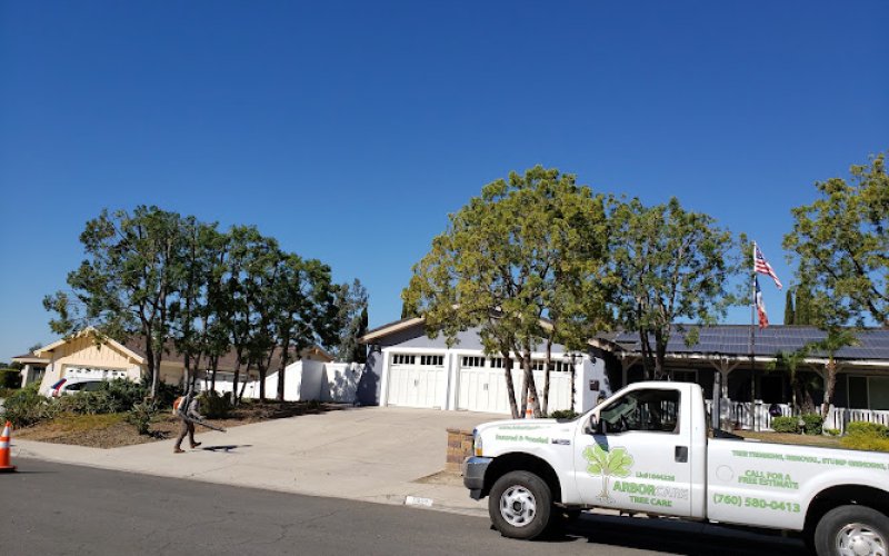Arborcare Tree Care