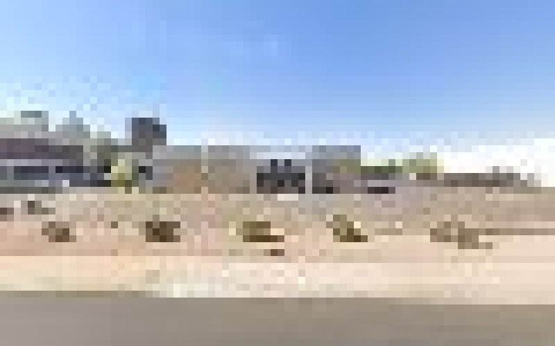 Arizona Arborist