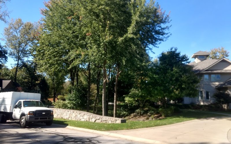 Arbor Tech of Toledo, LLC Tree Service