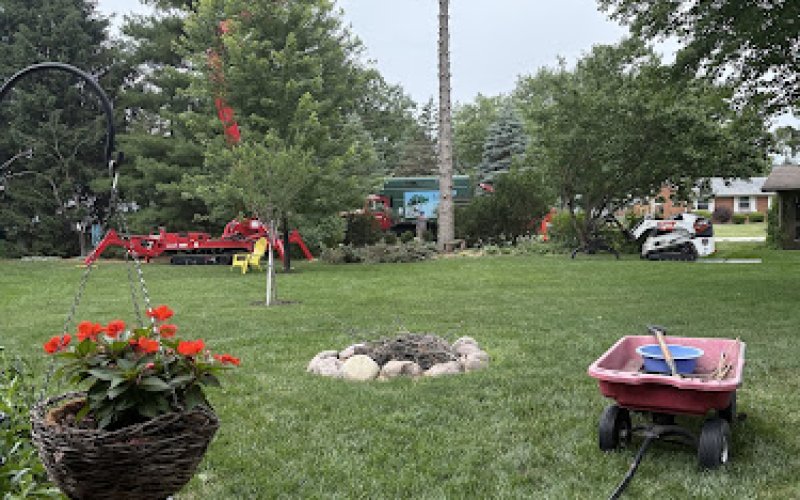 Sidonian Tree Service