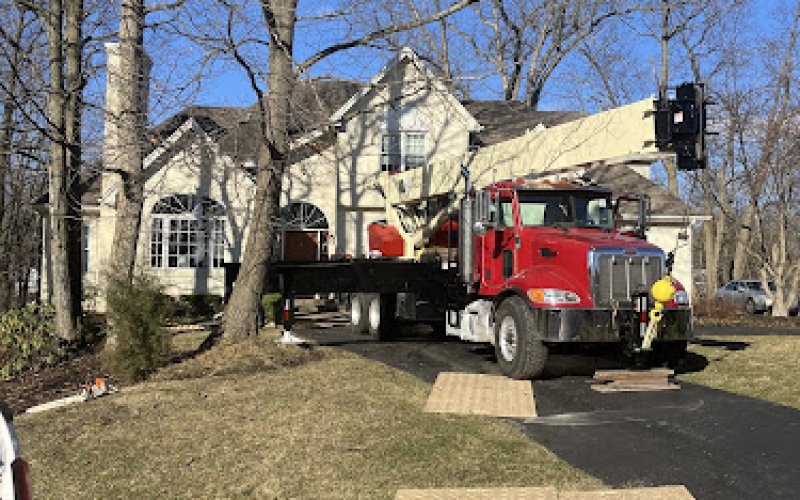 Steve's Tree Services, Landscape, Hauling & Excavating