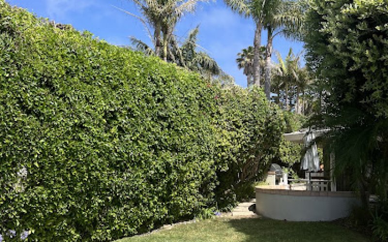Travers Tree Service, Inc — Tree service in Torrance