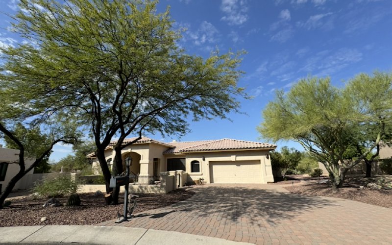 Desert Canopy Tree Service LLC