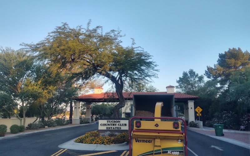 Made in the Shade - Certified Arborist - Expert Tree Service