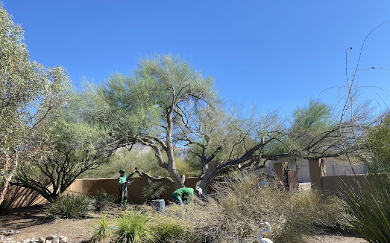 Top Notch Tree Service LLC