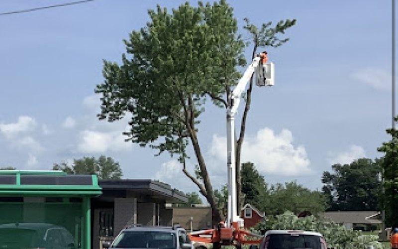 Arbor Masters of Tulsa
