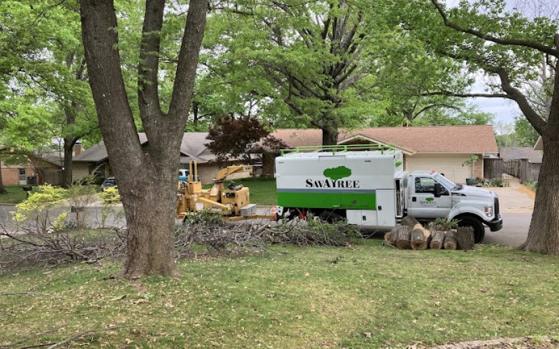 SavATree - Tree Service