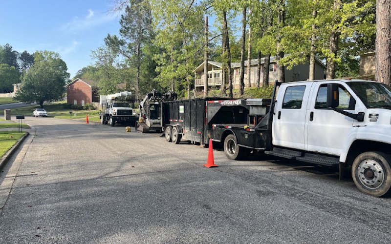 A-1 Pro Tree Service — Tree service in Tuscaloosa