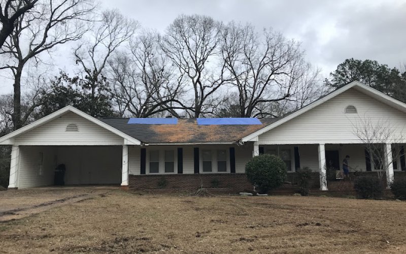 RedTop Tree Service, LLC — Tree service in Tuscaloosa