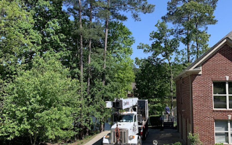 Robert Tree Service Company — Tree service in Tuscaloosa