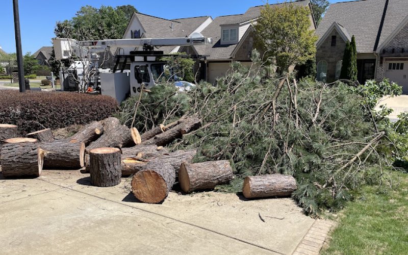 Triple J Tree Service — Tree service in Tuscaloosa
