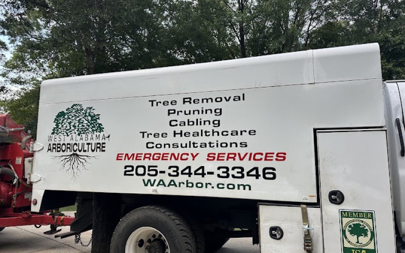 West Alabama Arboriculture — Tree service in Tuscaloosa