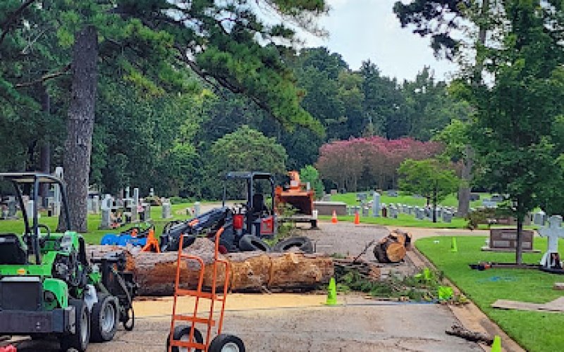 Castle's Tree Service LLC