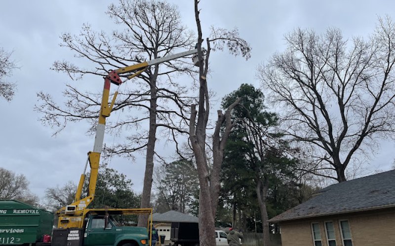 Triple J Tree Service