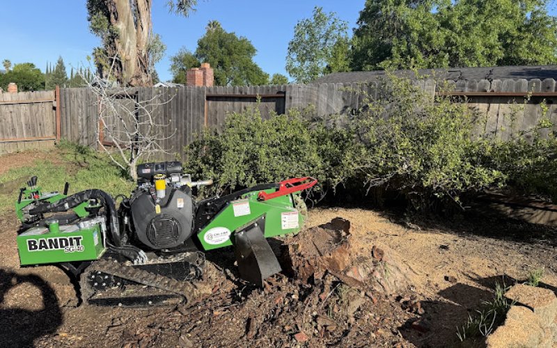 Cooper's Tree Care