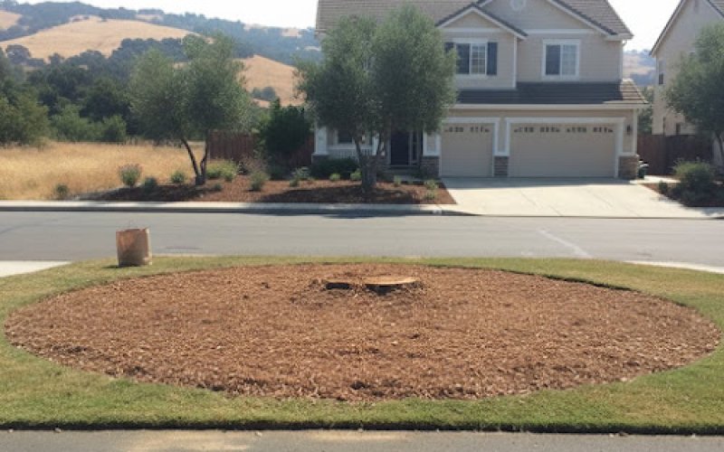 Heritage Tree Solutions