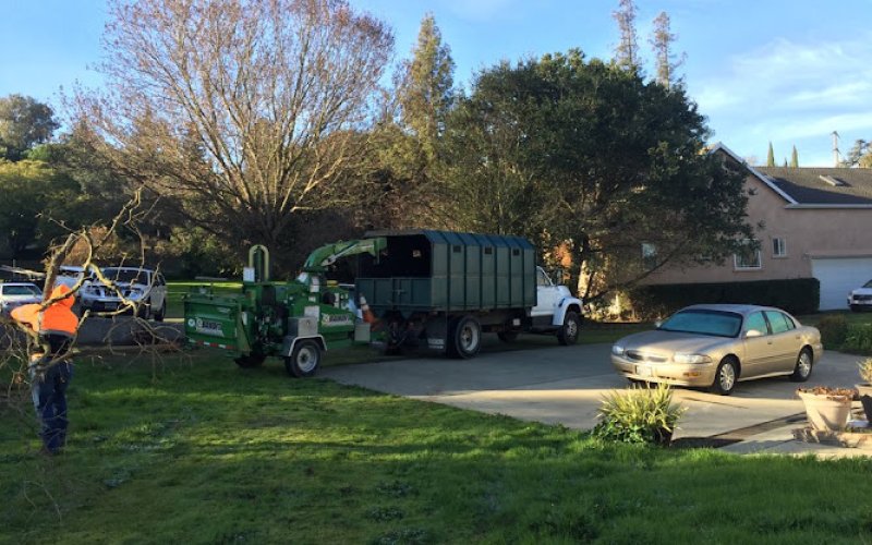 RAY'S TREE SERVICES, INC.