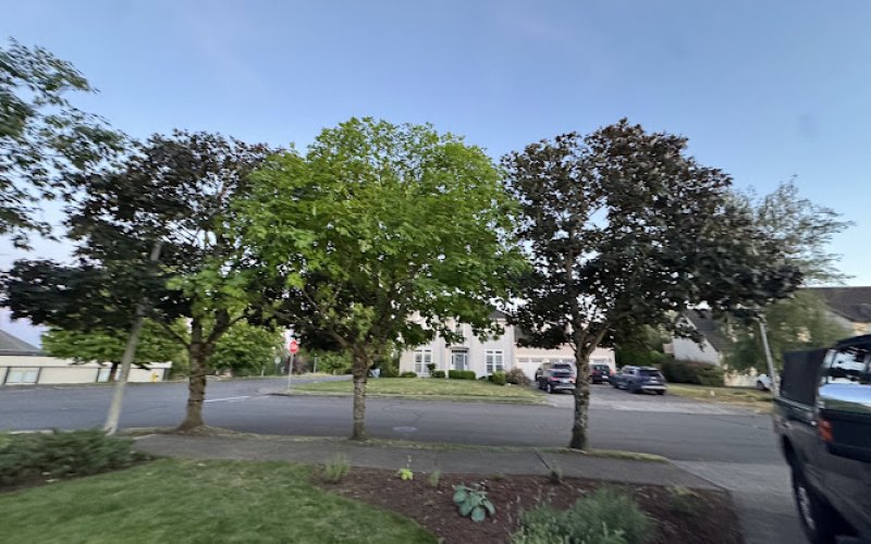 Tree Climber NW - Tree Service Vancouver WA