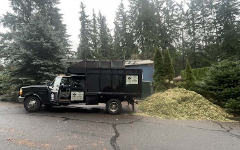 Up & Up Tree Care
