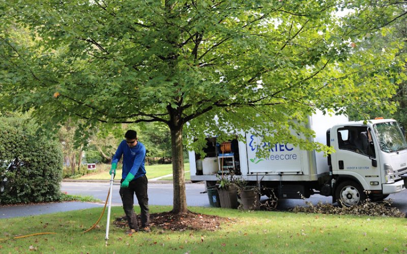 RTEC Treecare