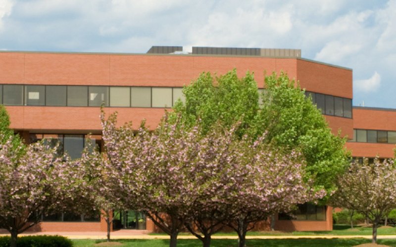 Trees Unlimited NJ