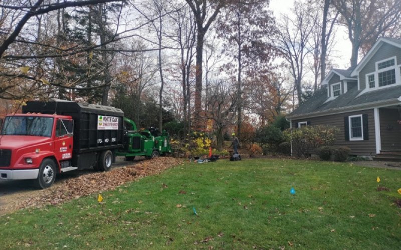 White Oak Tree Services LLC