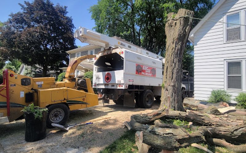 EZC Tree Service