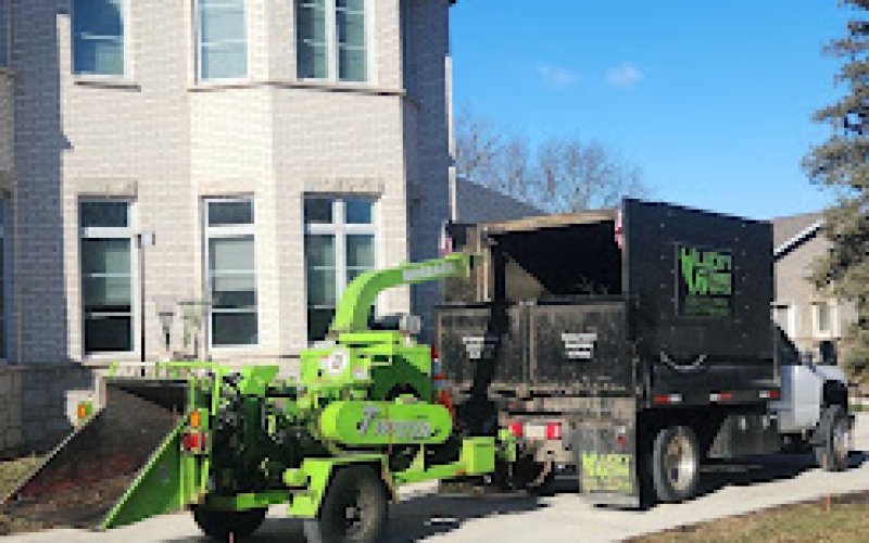 Lucky 7 Tree Service