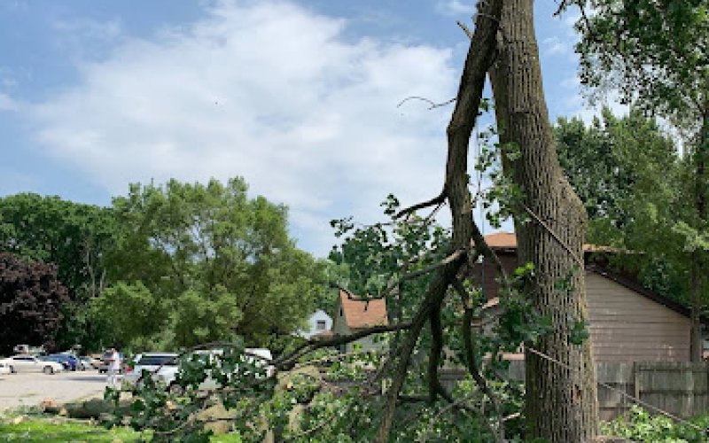 Prime Tree Care, Inc