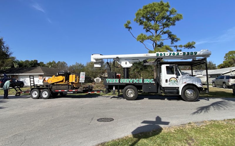 Tree Service Inc.