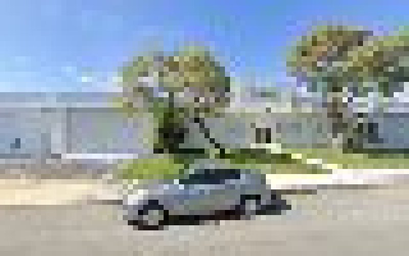 West Palm Beach Tree Service Experts