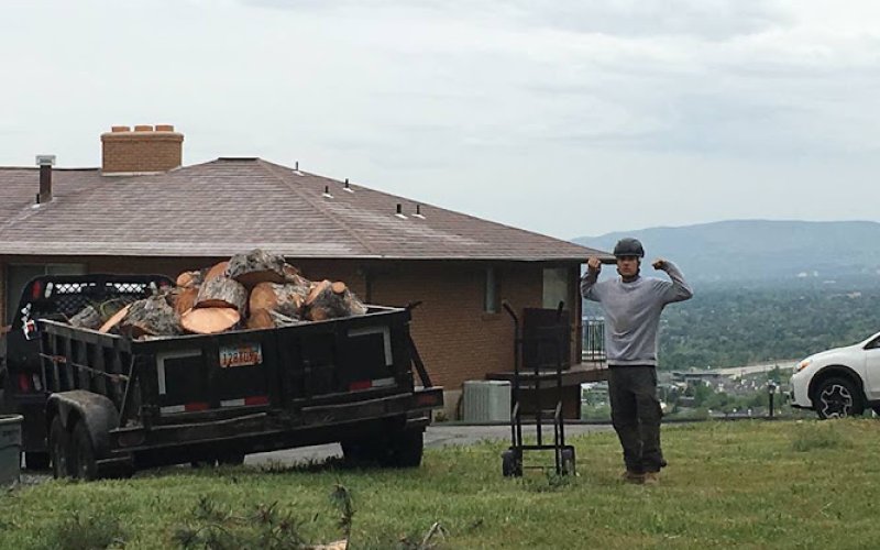Hidden Oak Tree Care