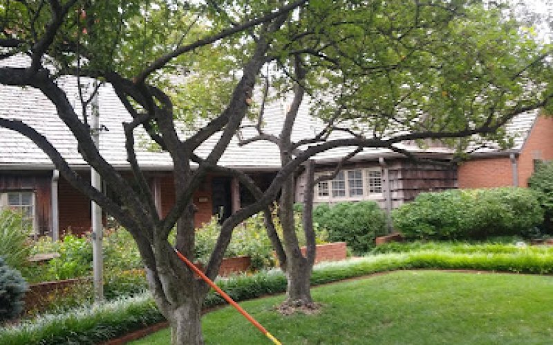 Crabtree's Tree Service