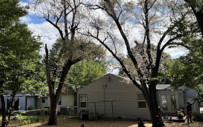 ICT Tree Service