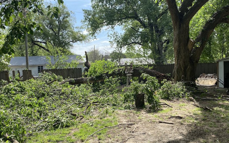 Wichita Tree Service LLC