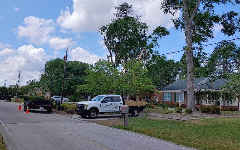 Arbor X Tree Service — Tree service in Wilmington