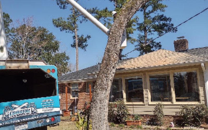 Coastal Tree Trimmers — Tree service in Wilmington