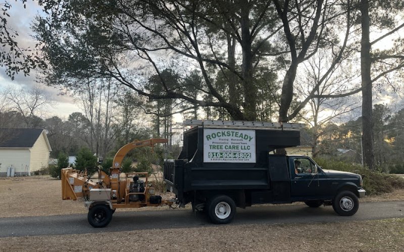 Rocksteady Tree Care — Tree service in Wilmington